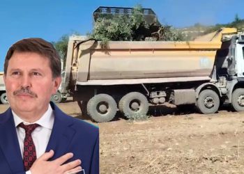 Limak- İçtaş AKbelen’de zeytin sökümünde AKP li iş insanı ile birlikte