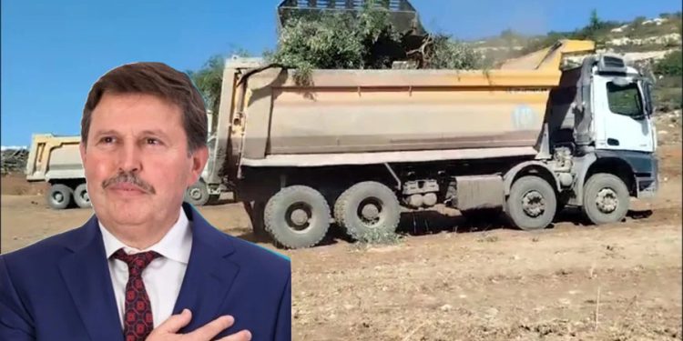 Limak- İçtaş AKbelen’de zeytin sökümünde AKP li iş insanı ile birlikte