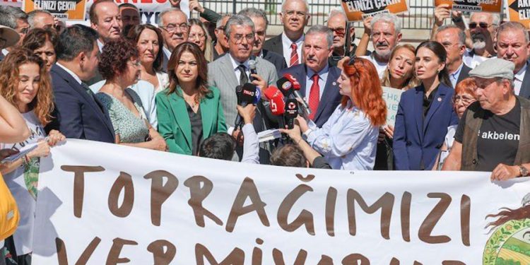 Milletvekili Özcan, Bakan Yumaklı’ya Akbelen’deki zeytin katliamını sordu