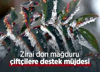 Muğla’da Don Zararı Gören Çiftçilere Destek Müjdesi