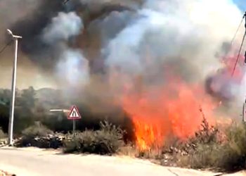 Yola atılan sigara izmariti Mumcuları yakıyordu