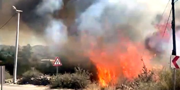 Yola atılan sigara izmariti Mumcuları yakıyordu