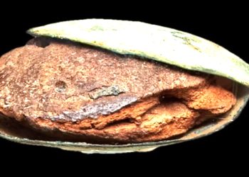 4000 yıllık kekin sırrı ortaya çıktı