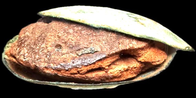 4000 yıllık kekin sırrı ortaya çıktı