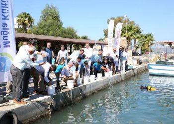 Güllük körfezinde 175 bin balık yavrusu denize salındı