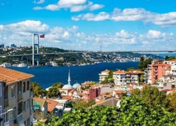 Türkiye’de eşi benzeri yok: Her sokak bir kuş adı, işte İstanbul’un sıra dışı semti