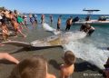 Akdeniz’de dev balinalar turistik adanın kıyılarına vurdu
