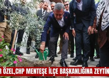 Özgür Özel,CHP Menteşe ilçe başkanlığına zeytin dikti