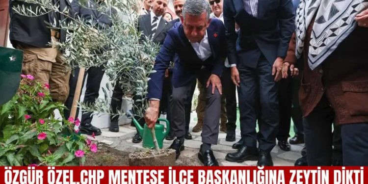Özgür Özel,CHP Menteşe ilçe başkanlığına zeytin dikti