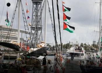 Yelkenli gemide 4 Türk vekil