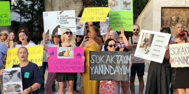 Muğla Valiliği sahipsiz köpeklerin sayımını başlattı, hayvanseverler tepki gösterdi