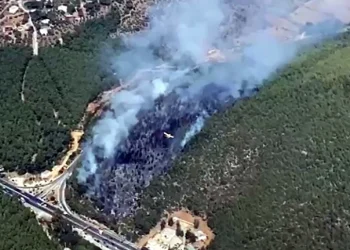 Bodrum’da trafo ormanı yaktı büyük korku yaşandı