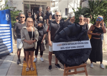 Bodrum Belediyesi’ne hayvanseverler siyah çelenk bıraktı “Bugün hesap sorma günüdür”