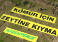 Greenpeace Akbelen’e destek kampanyası başlattı
