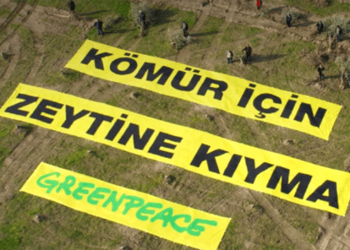 Greenpeace Akbelen’e destek kampanyası başlattı