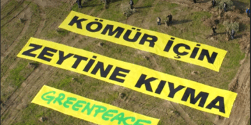 Greenpeace Akbelen’e destek kampanyası başlattı