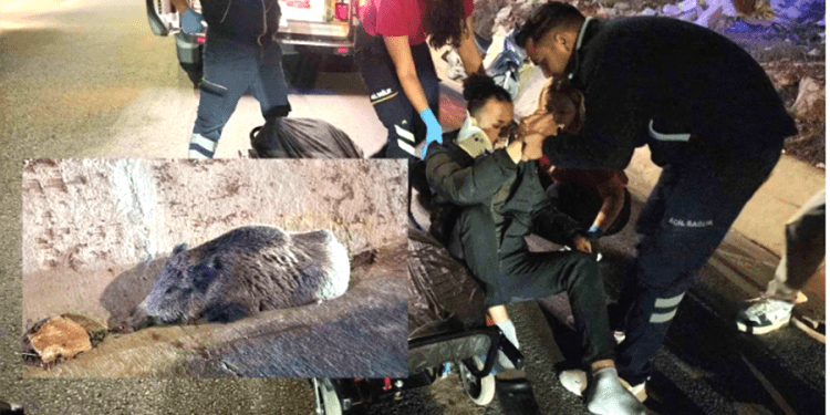 Motosikletli ile domuz çarpıştı, vatandaş hastaneye, domuz veterinere