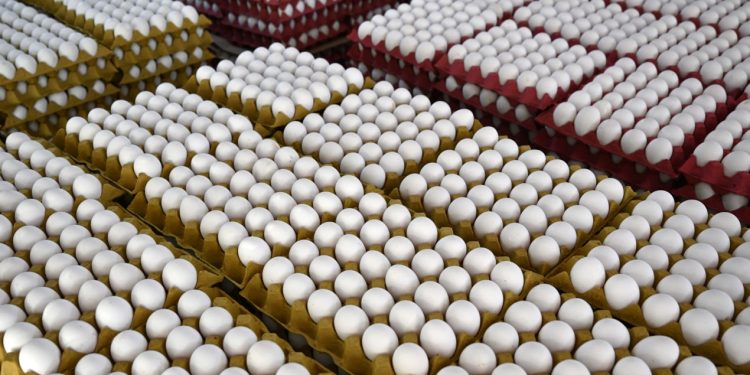 Yumurta Üretimde Sert Düşüş, Tavuk Tüketiminde Yükseliş