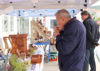 Muğla Çam Balı Hasat Şenliği Başladı
