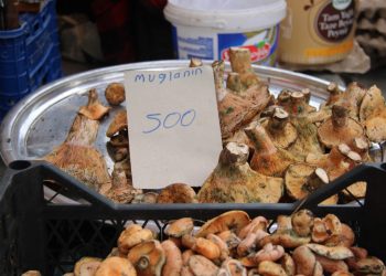 Çıntarın Fiyatı Etle Yarışıyor