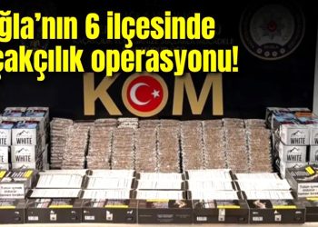 Muğla’nın 6 ilçesinde kaçakçılık operasyonu: 11 gözaltı