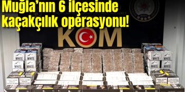 Muğla’nın 6 ilçesinde kaçakçılık operasyonu: 11 gözaltı