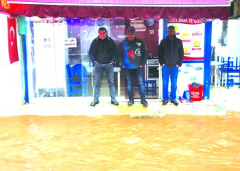 Muğla’nın 6 ilçesinde kaçakçılık operasyonu: 11 gözaltı