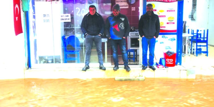 Muğla’nın 6 ilçesinde kaçakçılık operasyonu: 11 gözaltı