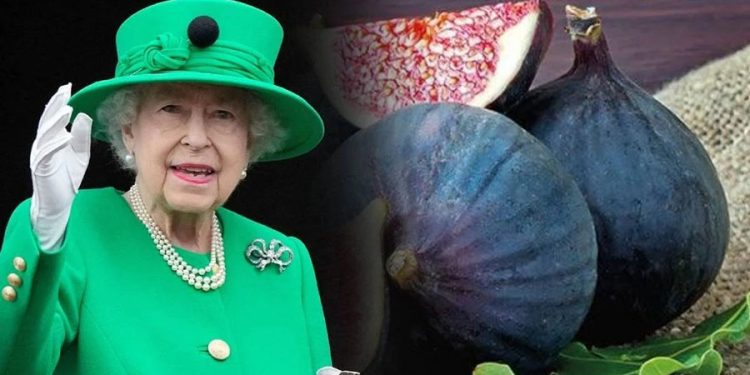 İngiltere Kraliçesi Elizabeth’in favorisiydi: Erzurum’da yetiştirdi, kilosu 600 liradan satılıyor