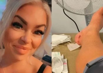 İngiliz turistin “Bodrum’da kedi ısırdı kuduz oldum” açıklamasına hayvan sevenlerden sert tepki