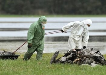 Borum FK’nın isim sponsoruna Şok Karar!..