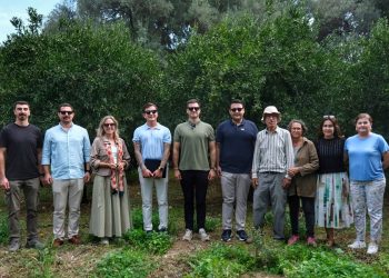 Yeşil Bodrum Mandalini’ne Tek Seferde 55 Tonluk Sipariş