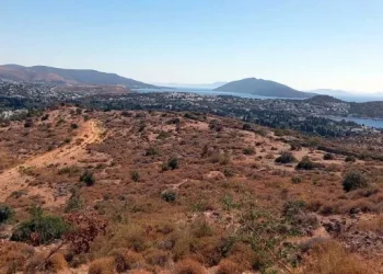 Bodrum’un ortasında toptan satamadılar, parça parça satışa yöneldiler