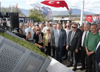 Zeytin tarlalarının kömüre kurban edildiği ilçede zeytinin önemi anlatıldı