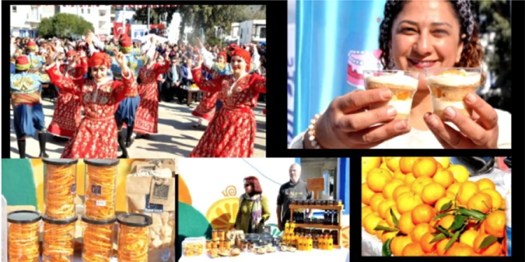 Mandalina ihracat şampiyonu oldu