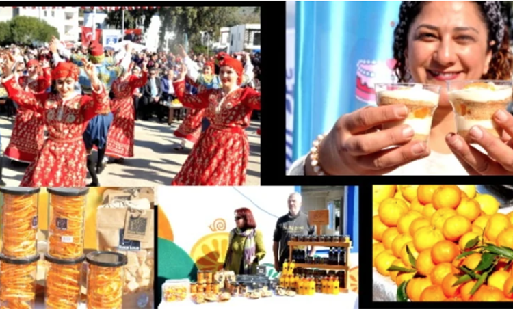 Mandalina ihracat şampiyonu oldu