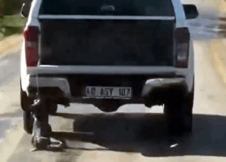 Muğla’yı ayağa kaldıran görüntü, köpeğini aracının arkasında sürükleyerek öldürdü
