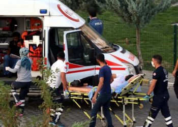 Milas dağları yağmalandı sıra bereket dolu tarım alanlarına geldi