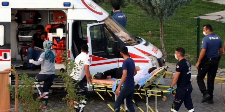 Milas dağları yağmalandı sıra bereket dolu tarım alanlarına geldi