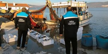 Yasak ağ ile avlanan balıklara el konuldu