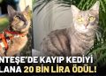 Muğla’nın Gururu Zişan Koparan Avrupa Yolcusu!