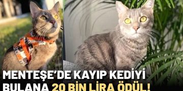 Muğla’nın Gururu Zişan Koparan Avrupa Yolcusu!