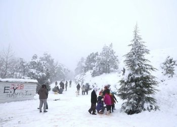 Muğla’da Dehşet Anları! Bıçaklı Kavganın Görüntüleri Ortaya Çıktı