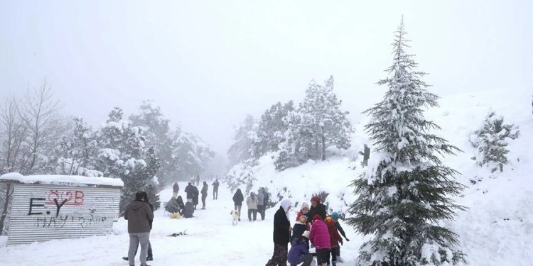 Muğla’da Dehşet Anları! Bıçaklı Kavganın Görüntüleri Ortaya Çıktı
