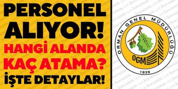 CHP Muğla Milletvekili Uzun: “Cennet Koyu’ndaki Betonlaşmaya Bakanlık Neden Seyirci Kalıyor?”