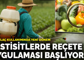 CHP Muğla Milletvekili Uzun: “Cennet Koyu’ndaki Betonlaşmaya Bakanlık Neden Seyirci Kalıyor?”