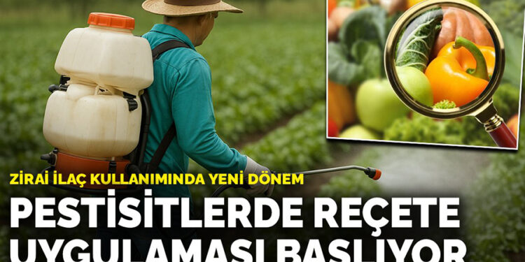 CHP Muğla Milletvekili Uzun: “Cennet Koyu’ndaki Betonlaşmaya Bakanlık Neden Seyirci Kalıyor?”