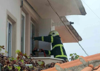 Muğla’da Her 4 Kişiden 1’inin Otomobili Var