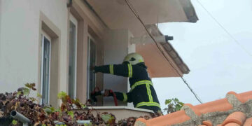 Muğla’da Her 4 Kişiden 1’inin Otomobili Var