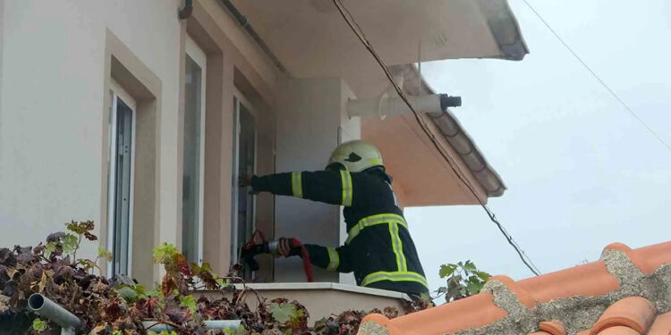 Muğla’da Her 4 Kişiden 1’inin Otomobili Var